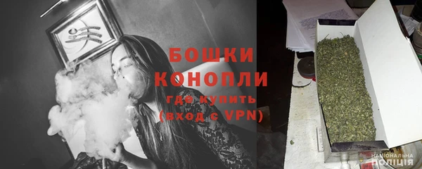 МДПВ Горнозаводск