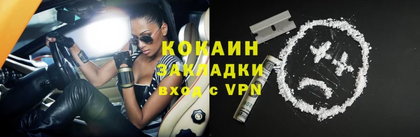 спайс Гусев