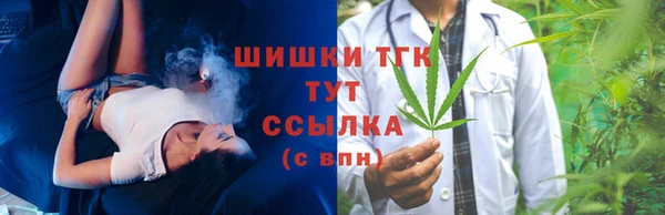 спайс Гусев