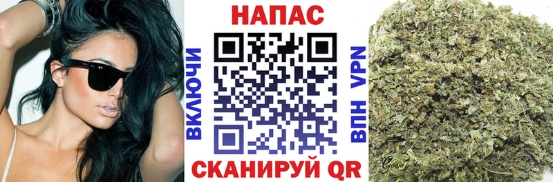Бошки Шишки White Widow  Купить закладки  Теберда 